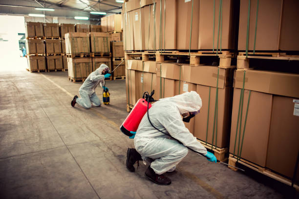 Pest Control Cost in Pleasant Hills, MD