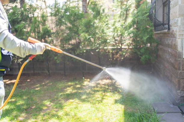 Best Flea Control Services  in Pleasant Hills, MD