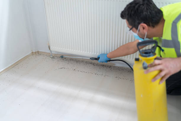 Pest Prevention Services in Pleasant Hills, MD