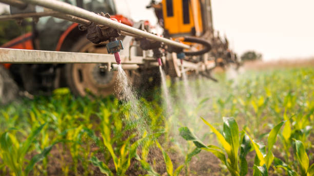 Best Mosquito Control Services  in Pleasant Hills, MD