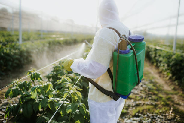 Best Local Pest Control Services  in Pleasant Hills, MD